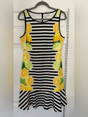 Black & White Striped Peplum Dress With Citrus Detailing